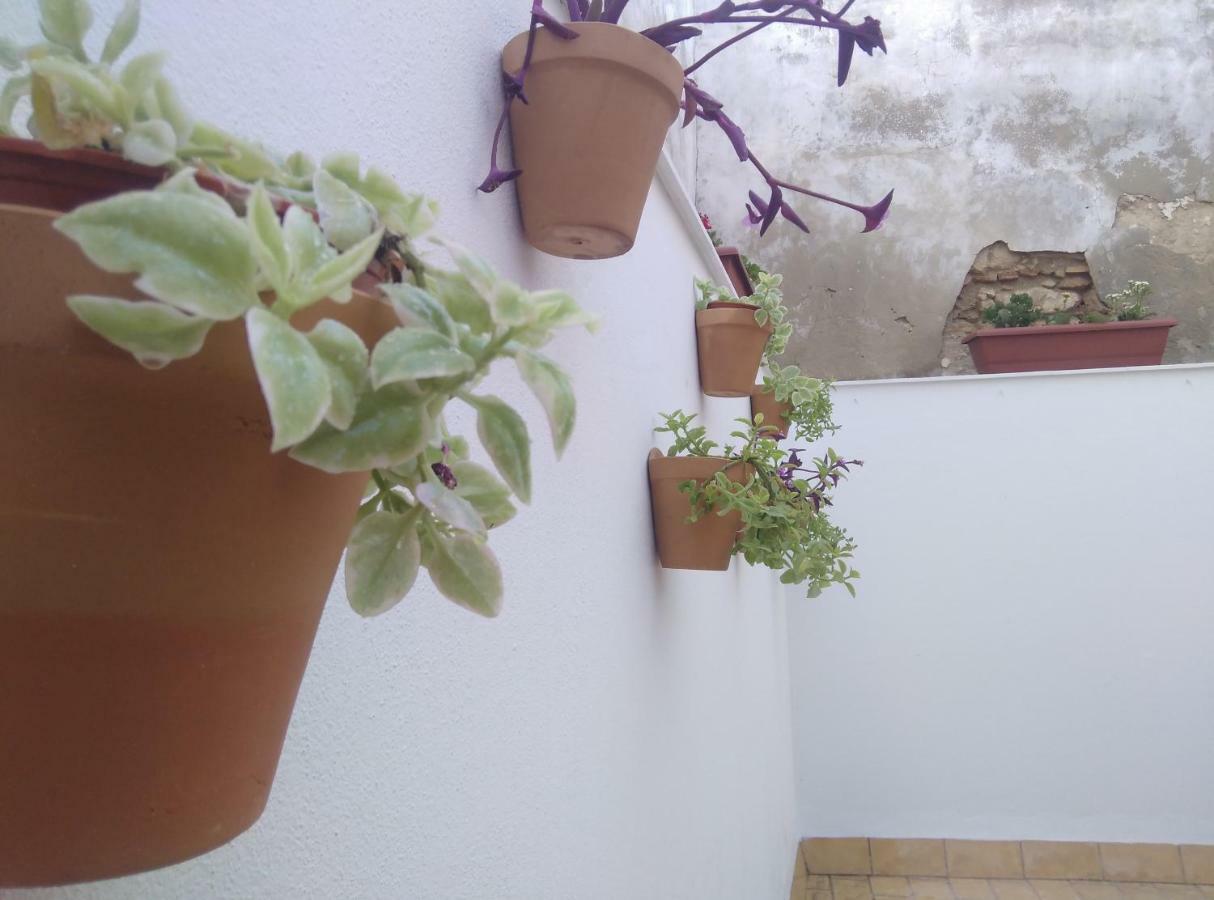 Apartamento Palo Cortao Jerez de la Frontera Exterior photo